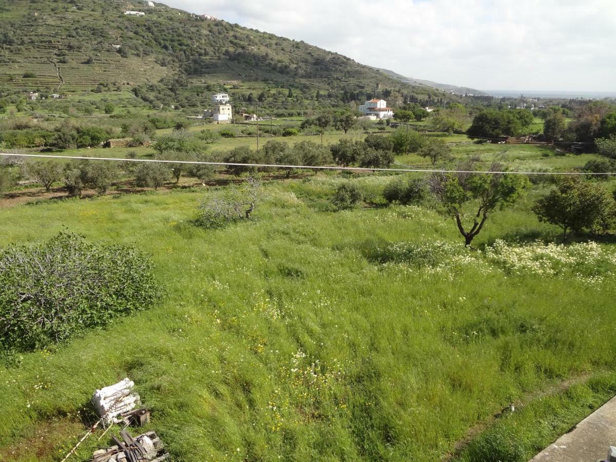 Willa House In The Grass Land. Ormos  Zewnętrze zdjęcie