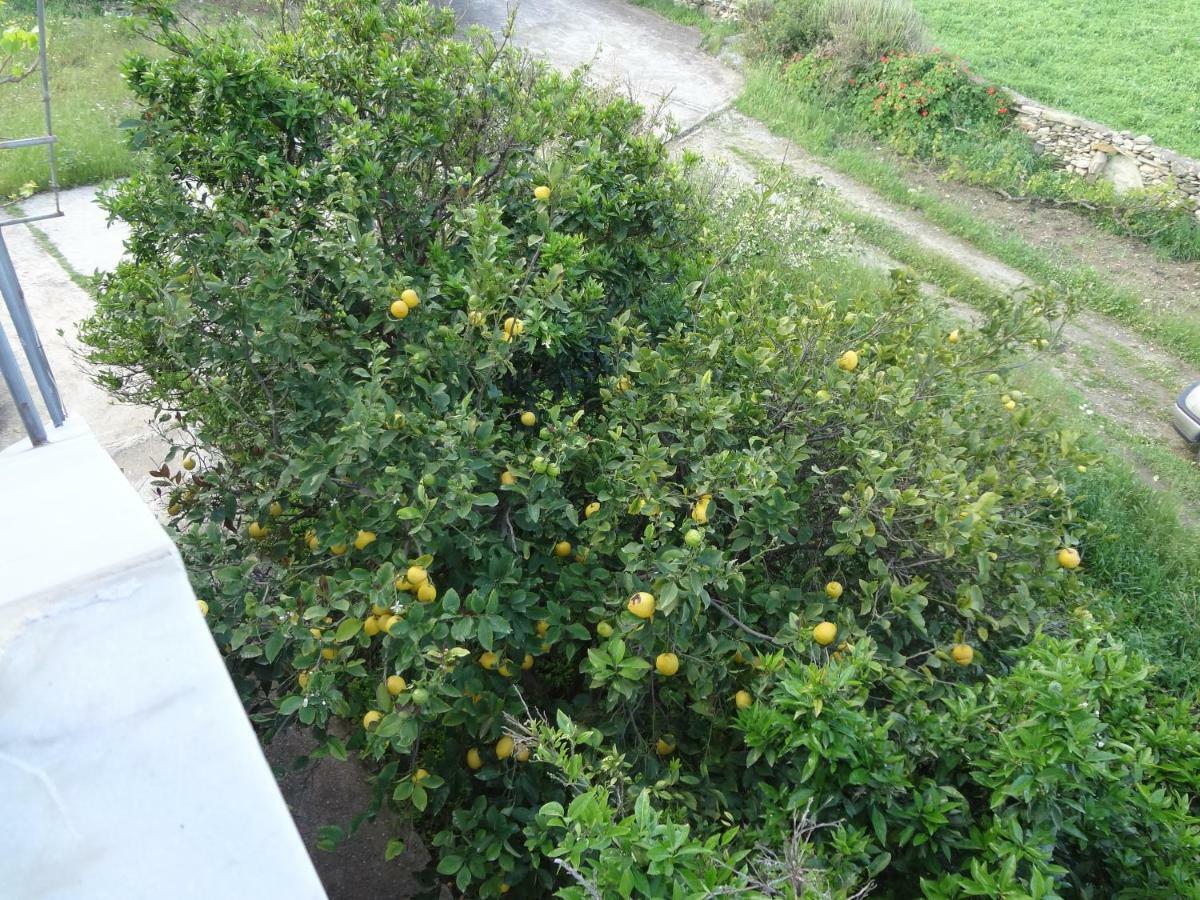 Willa House In The Grass Land. Ormos  Zewnętrze zdjęcie